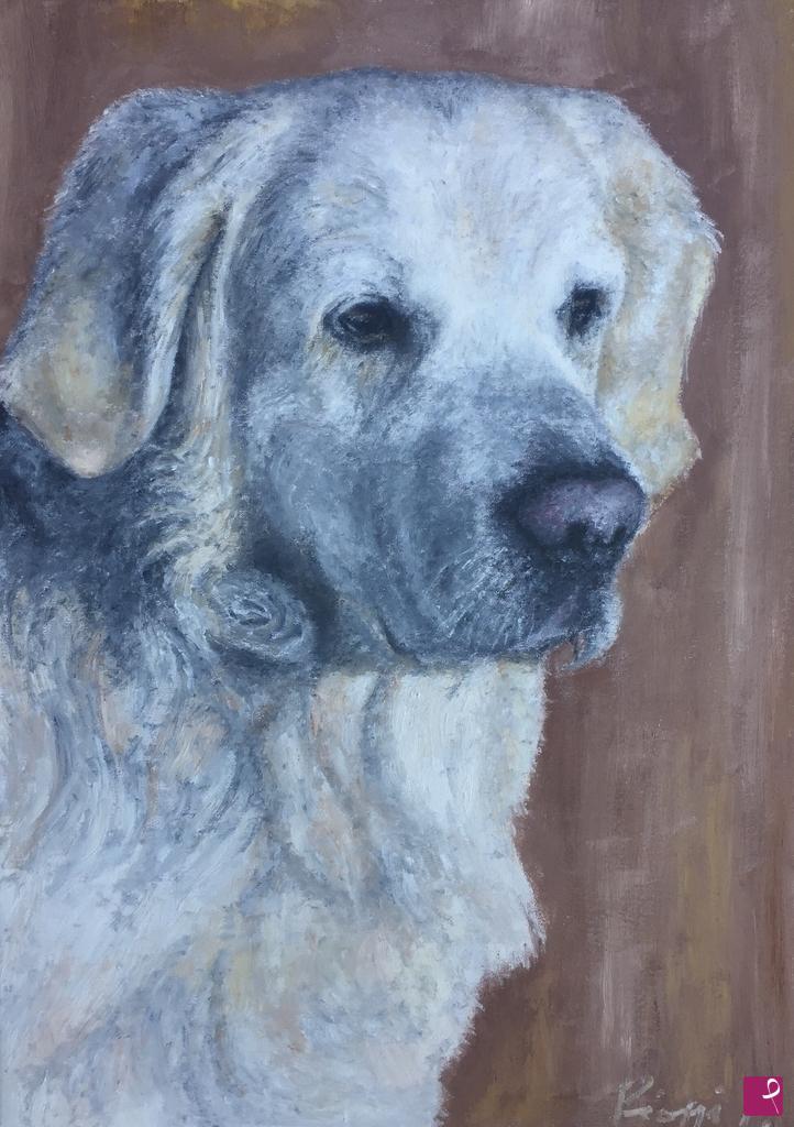 quadri in vendita online - GOLDEN RETRIEVER 