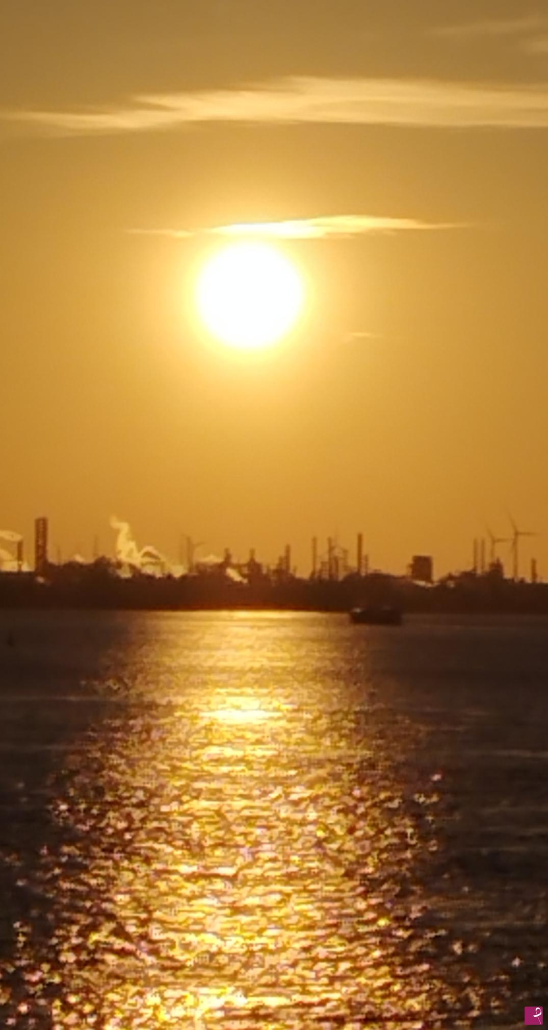 quadri in vendita online - Golden River. Port of Antwerp.