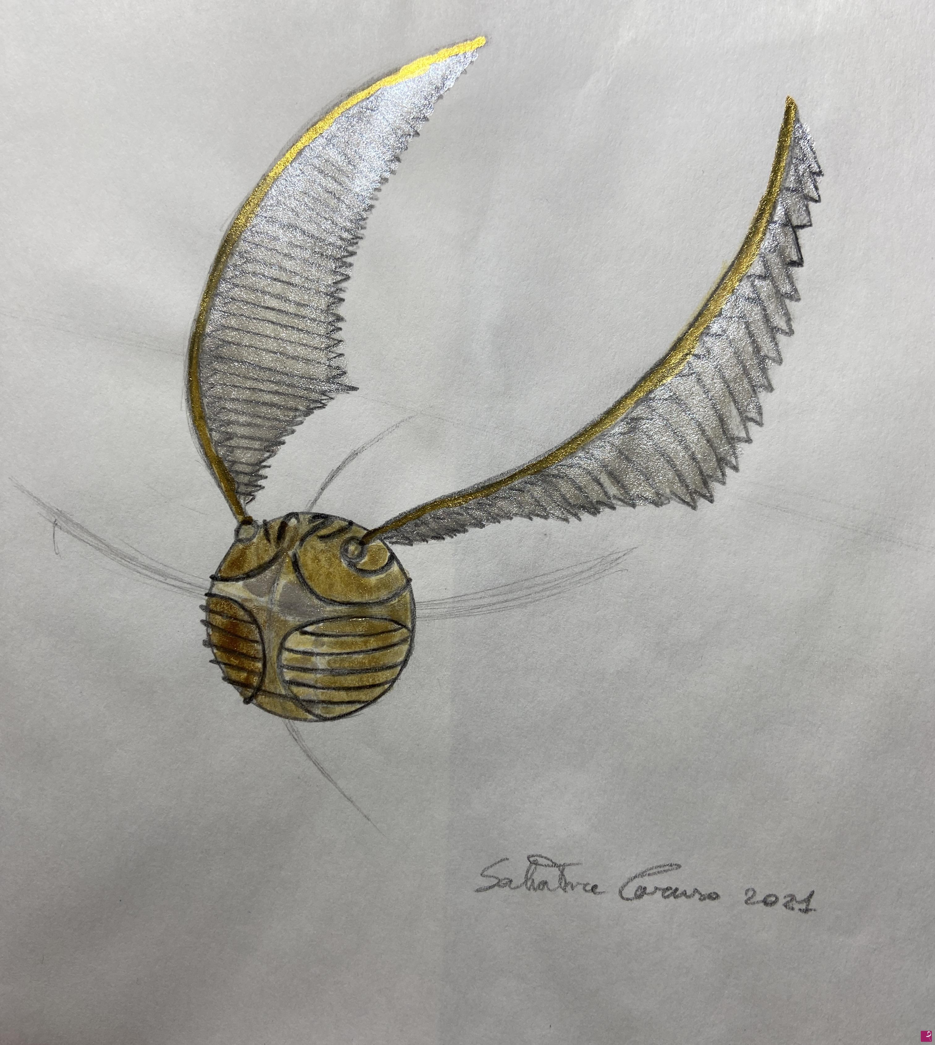 quadri in vendita online - Golden Snitch