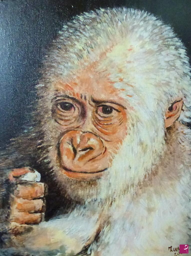 quadri in vendita online - Gorilla albino
