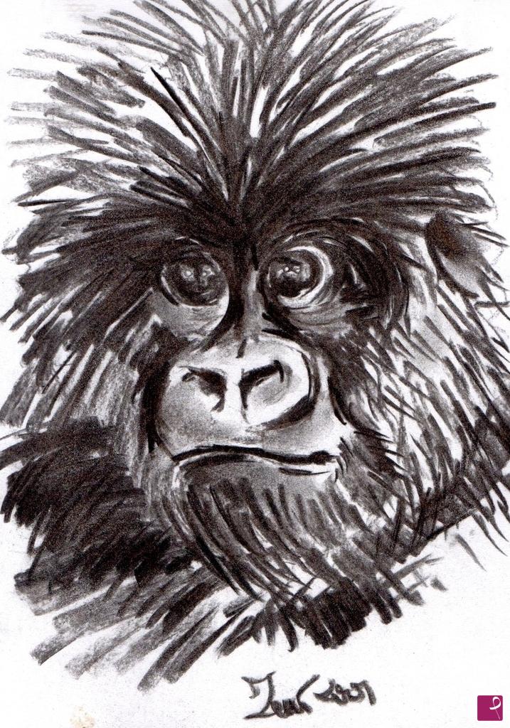 quadri in vendita online - Gorilla un po' scocciato