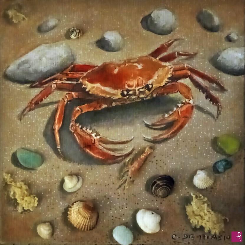 quadri in vendita online - granchio spiaggia