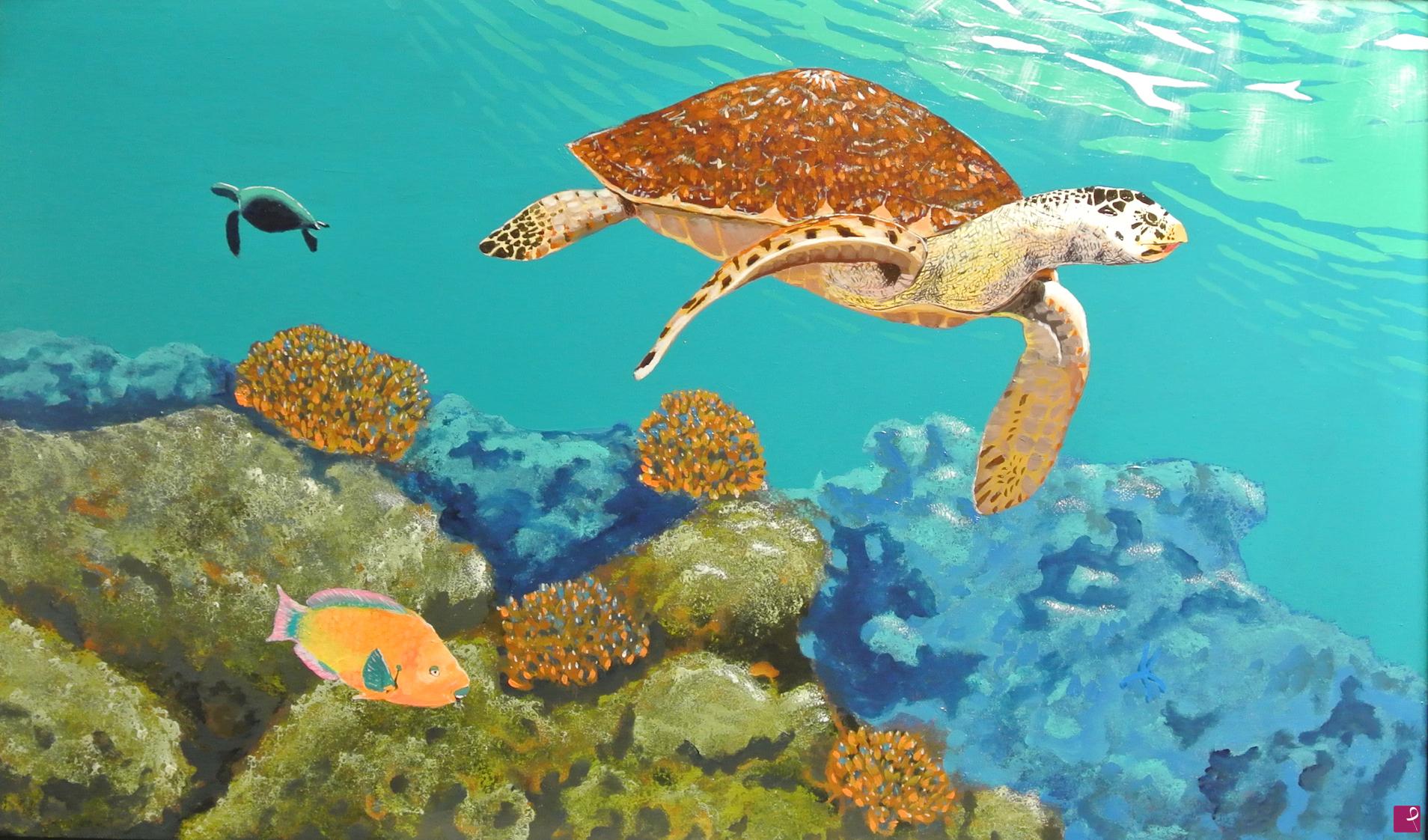 quadri in vendita online - Green turtle and parrot fish - con elegante cornice