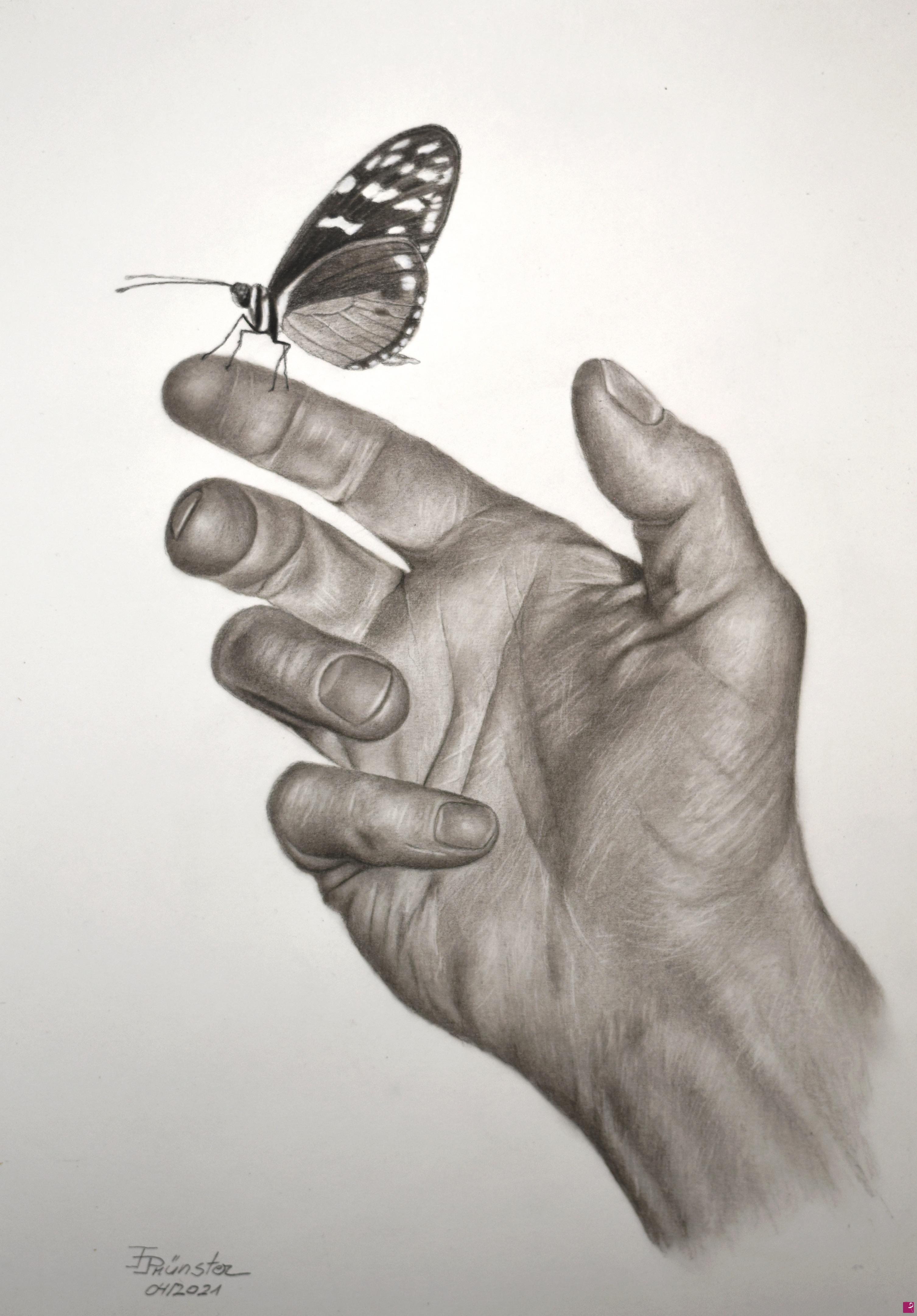 quadri in vendita online - Hand with butterfly
