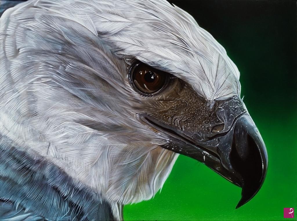 quadri in vendita online - "HARPY EAGLE"