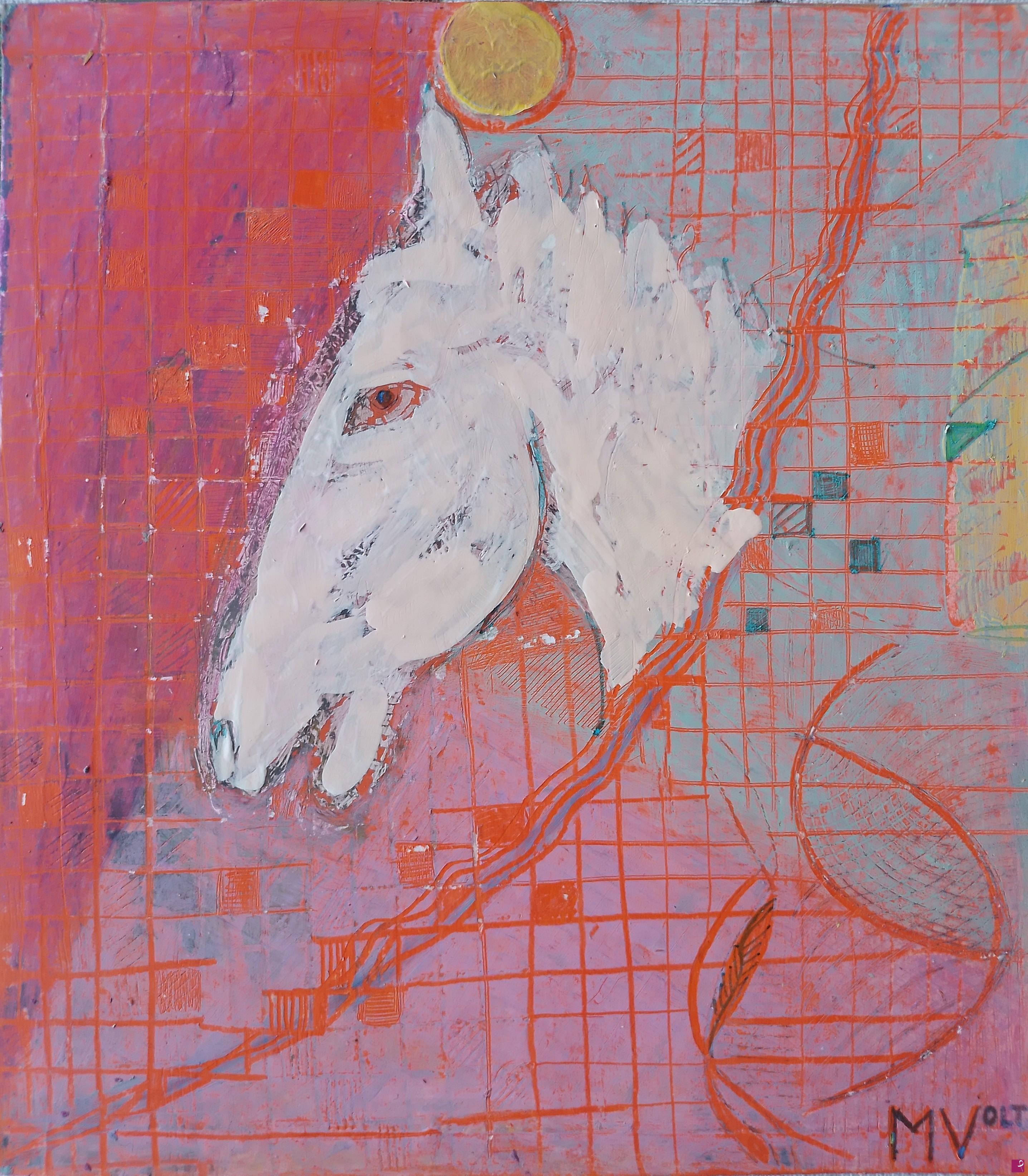 quadri in vendita online - head of white horse