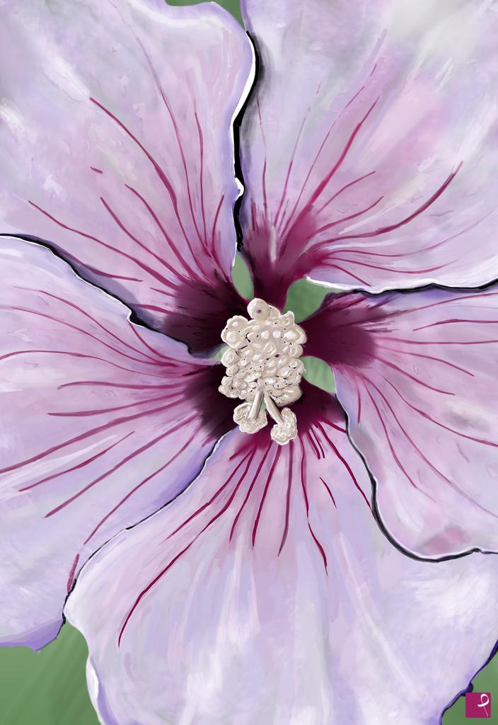 quadri in vendita online - HIBISCUS