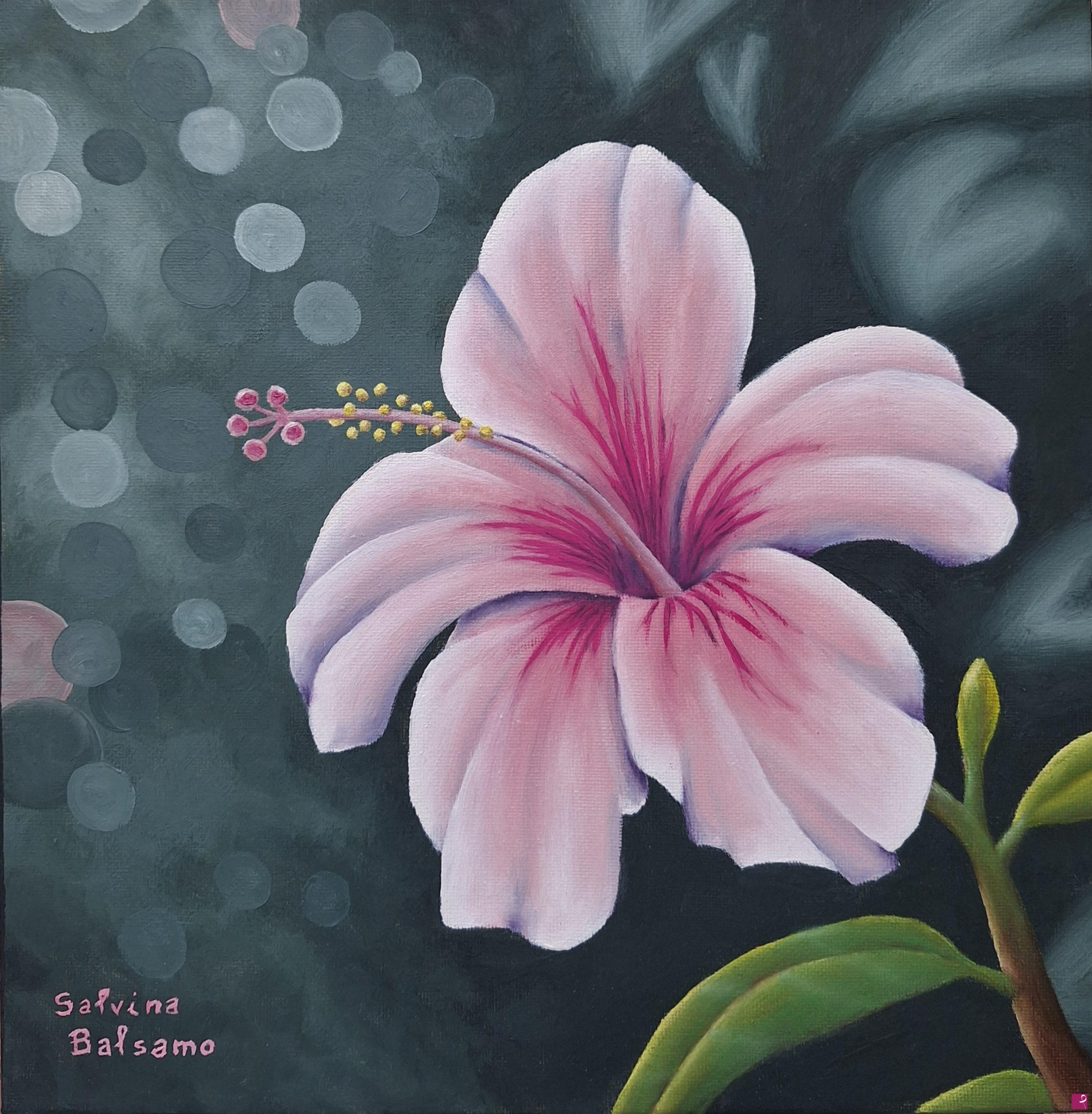 quadri in vendita online - Hibiscus rosa