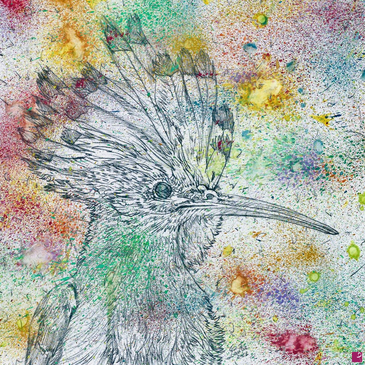 quadri in vendita online - HOOPOE