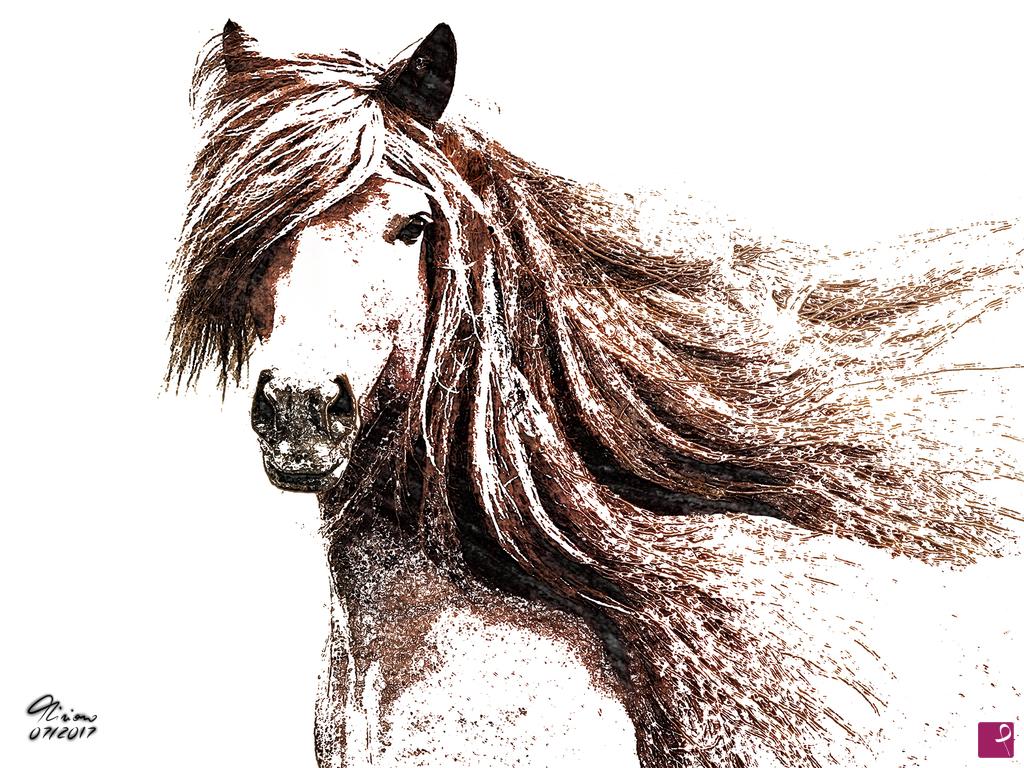 quadri in vendita online - Horse