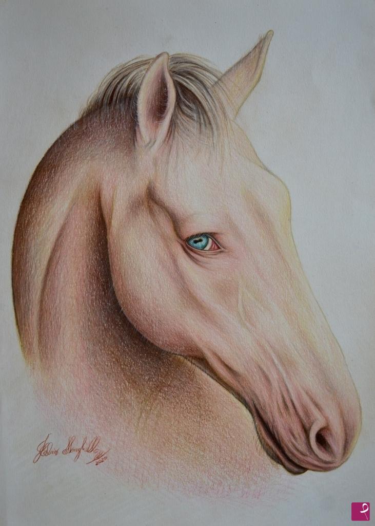 quadri in vendita online - Horse