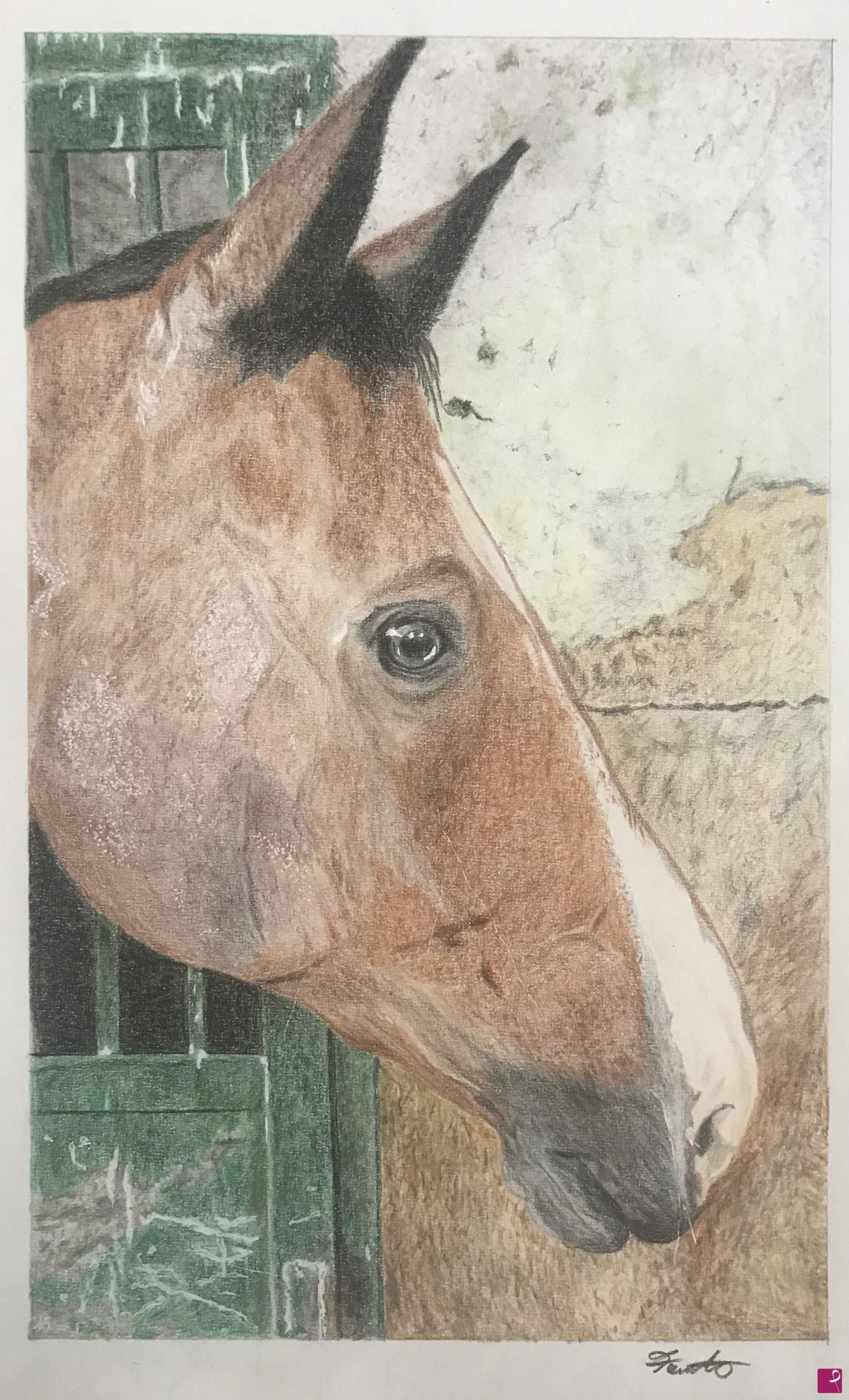 quadri in vendita online - “HORSE”