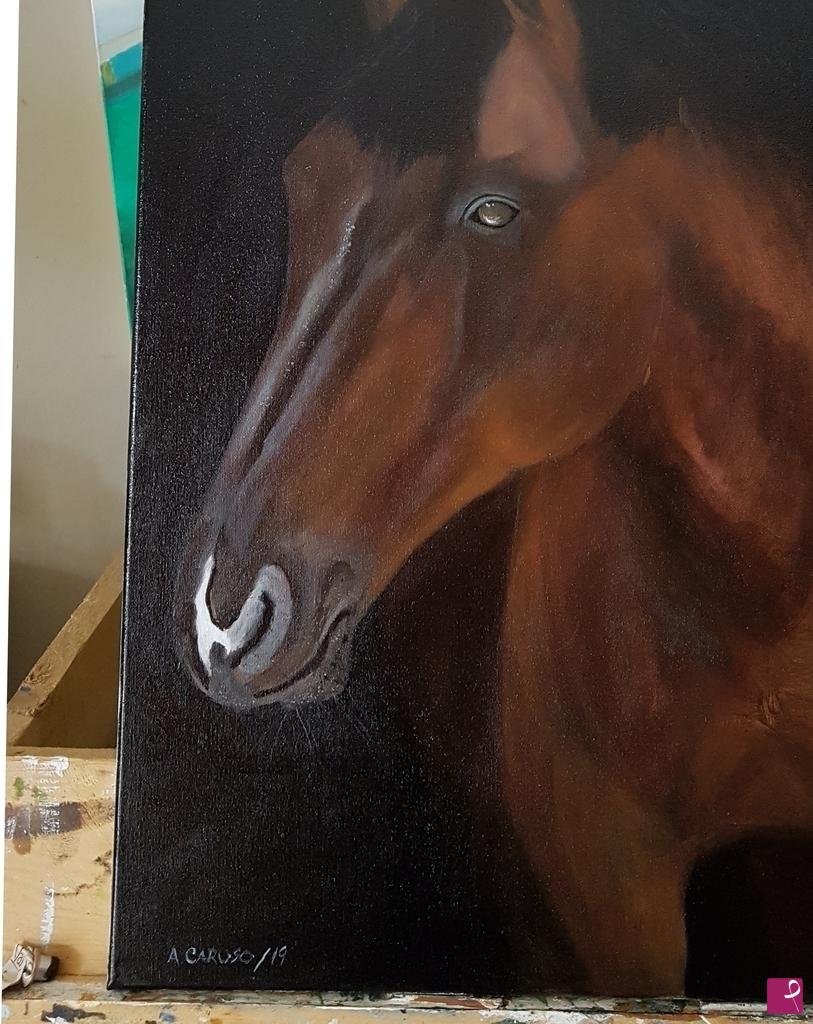 quadri in vendita online - Horse  L'ultima corsa 