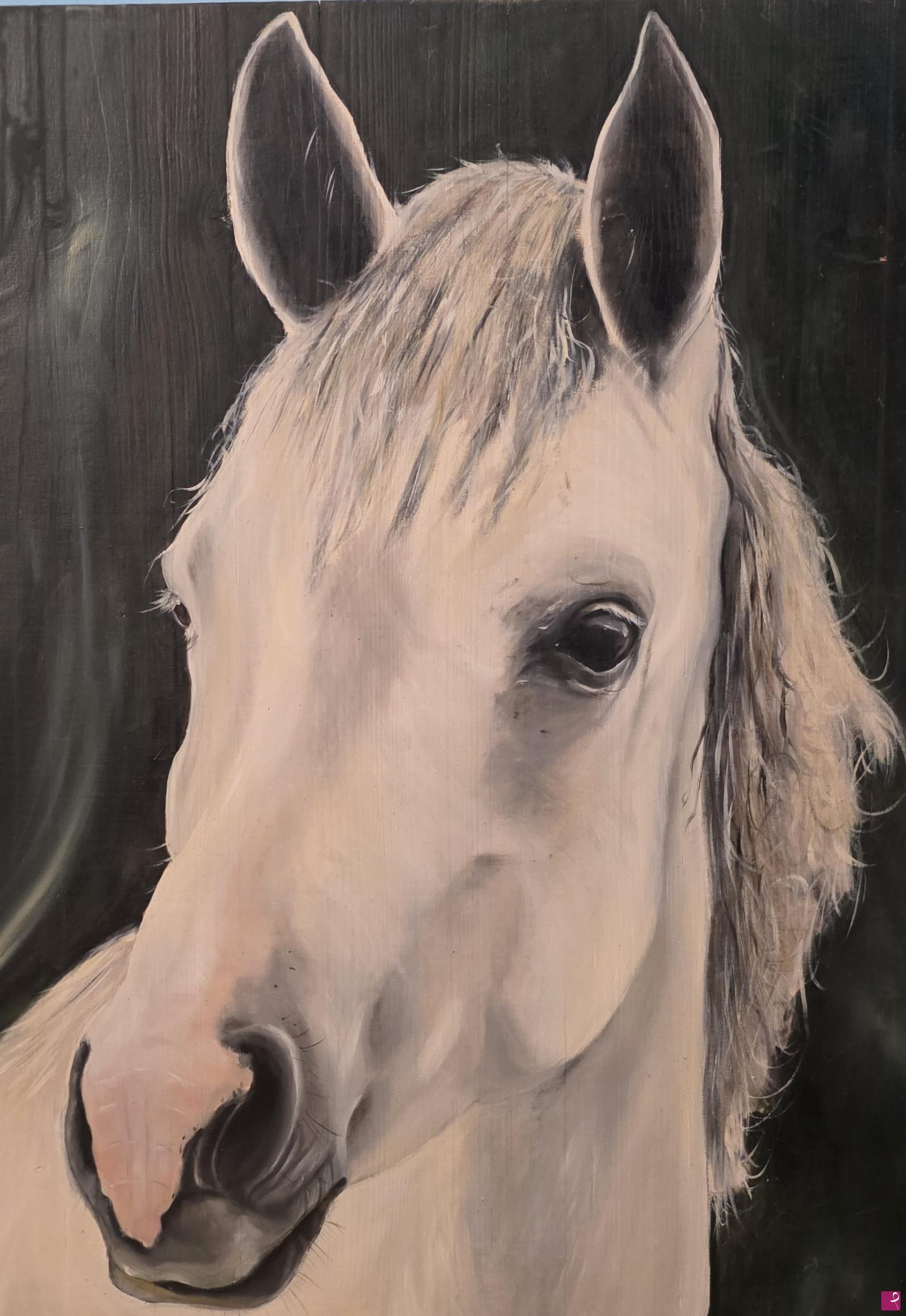 quadri in vendita online - Horse Yop
