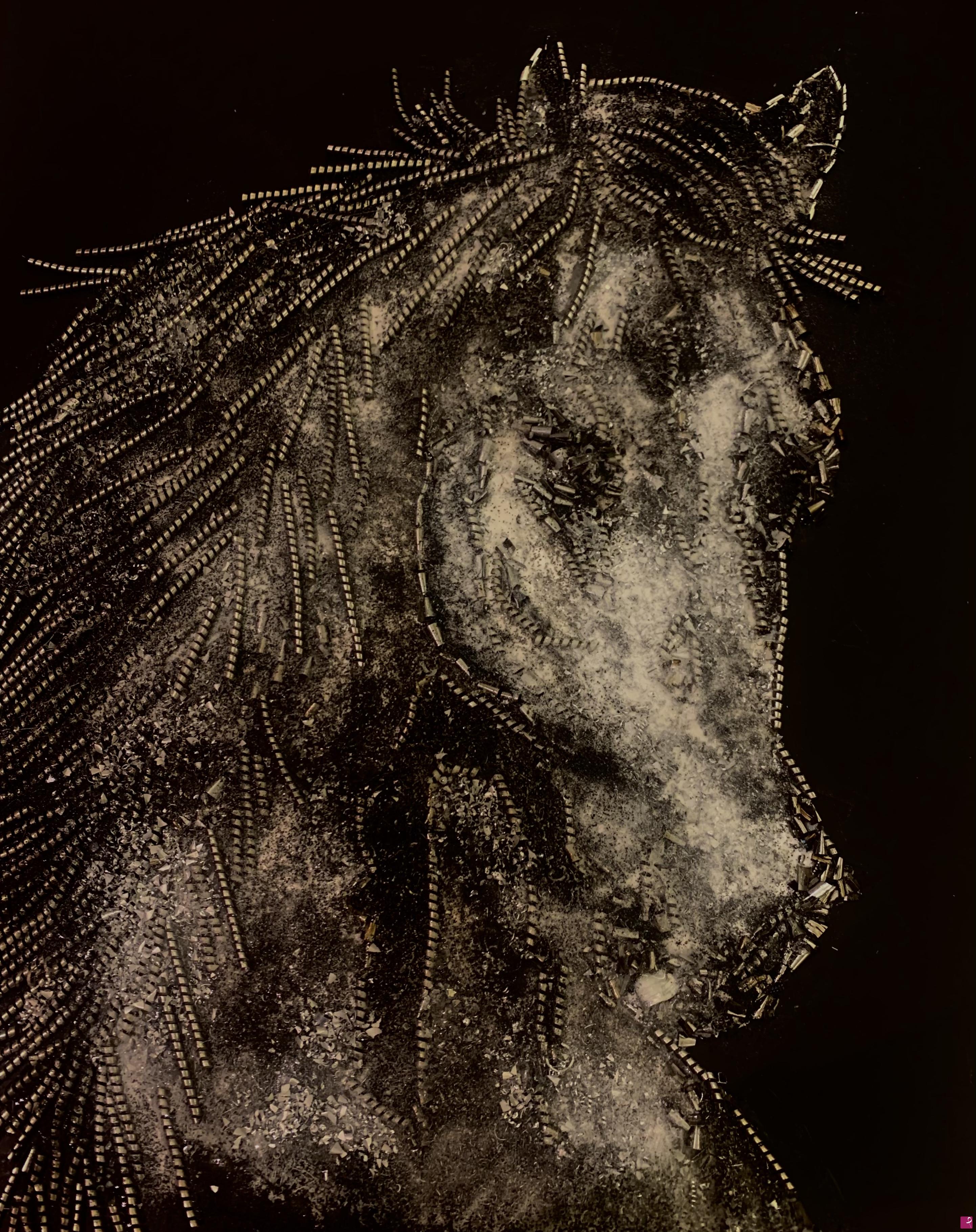 quadri in vendita online - Horse02