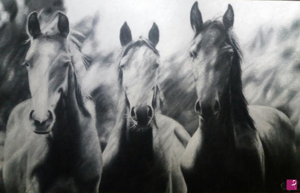 quadri in vendita online - HORSES 