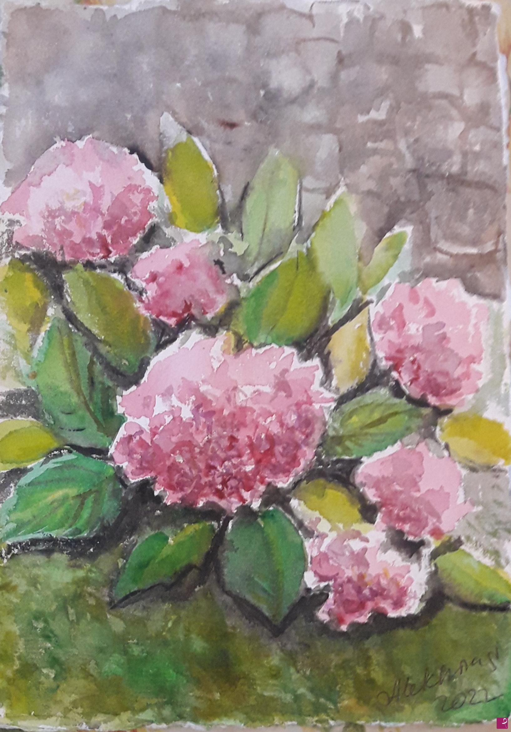 quadri in vendita online - Hortensia