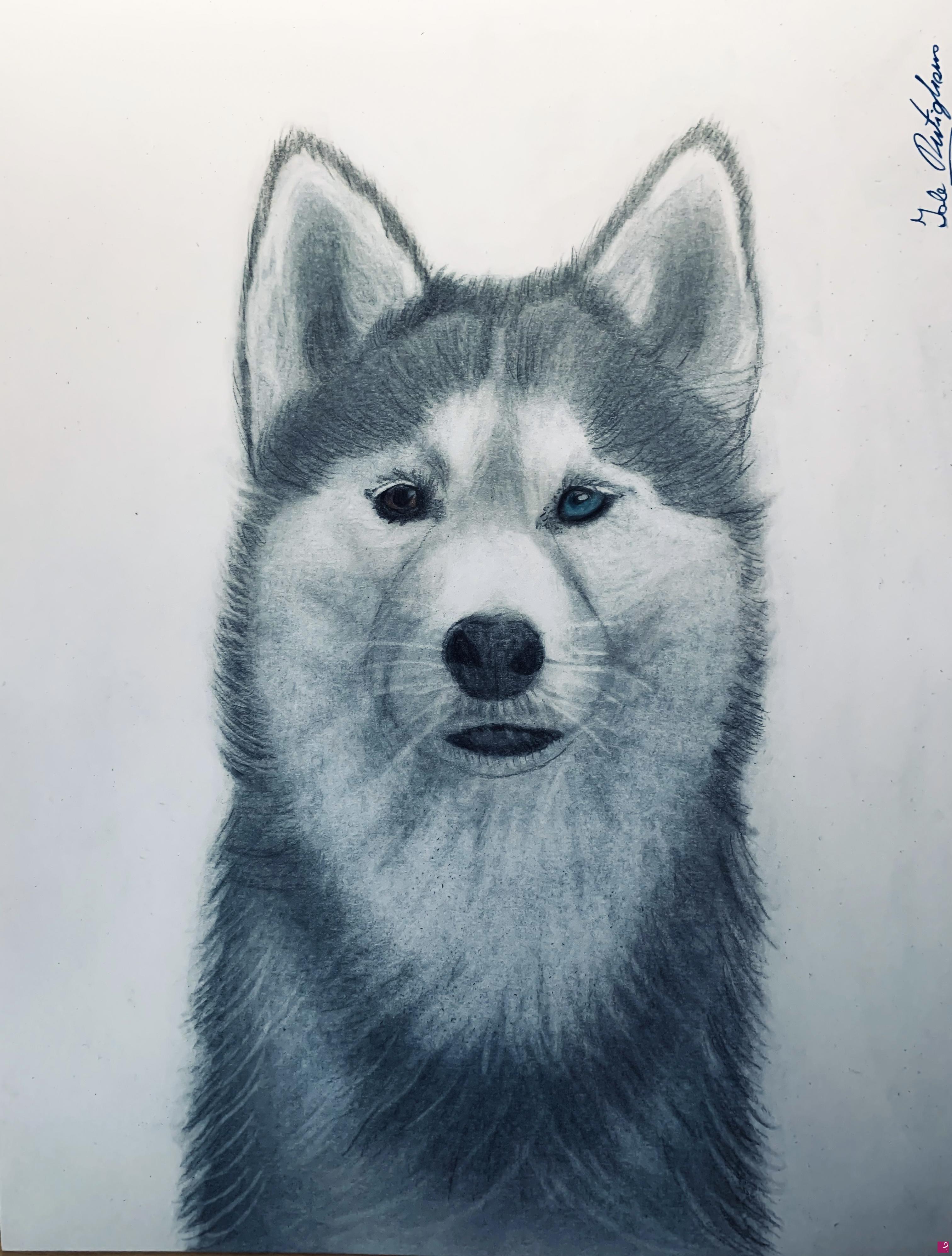quadri in vendita online - Husky 