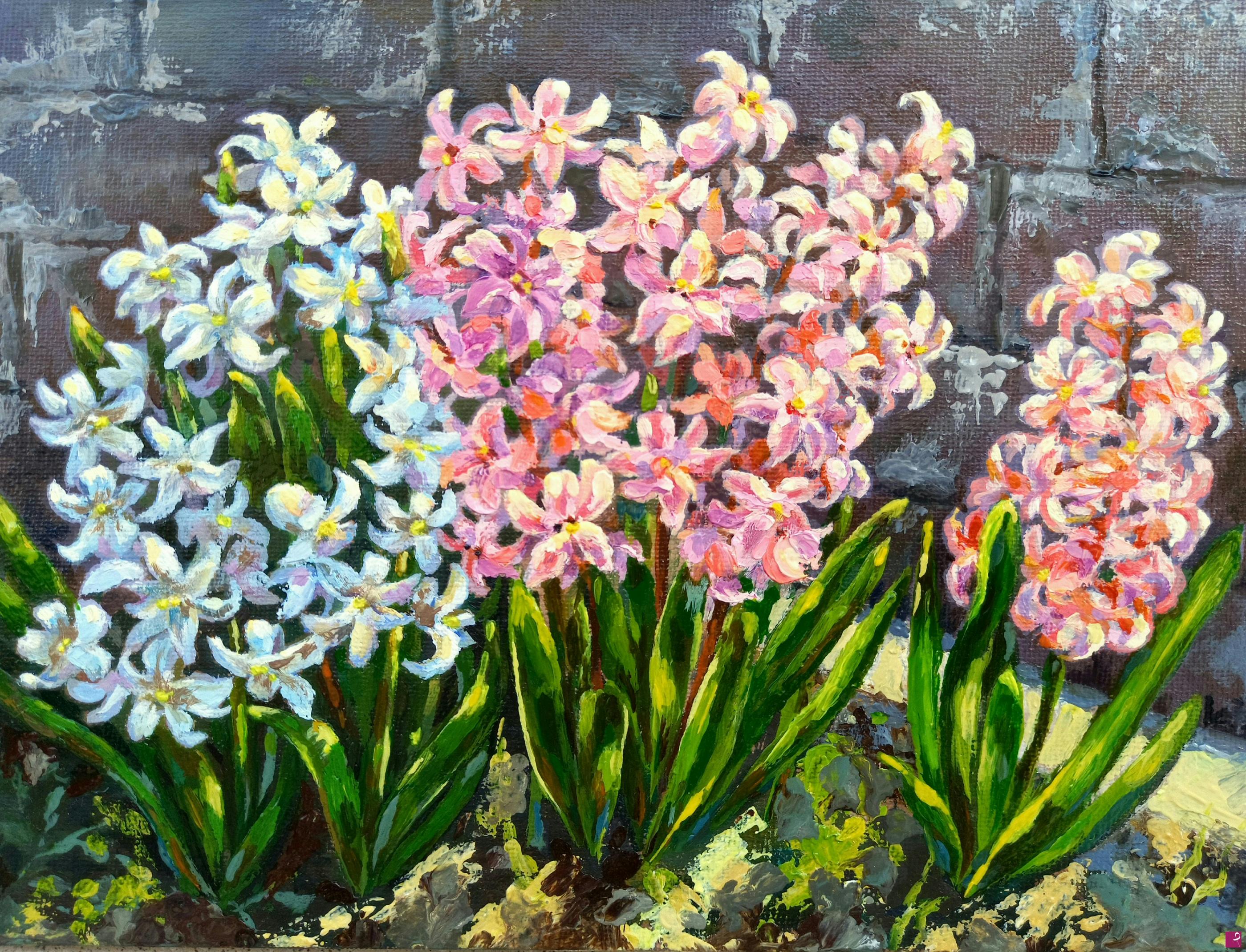 quadri in vendita online - Hyacinth 