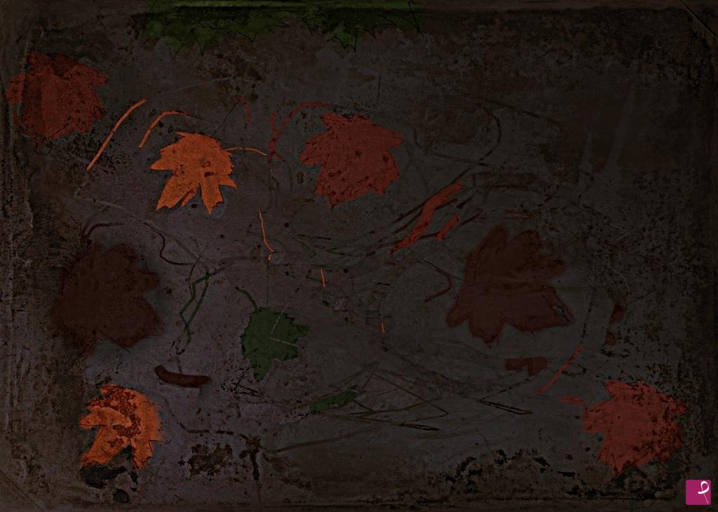 quadri in vendita online - I  colori  dell'utunno