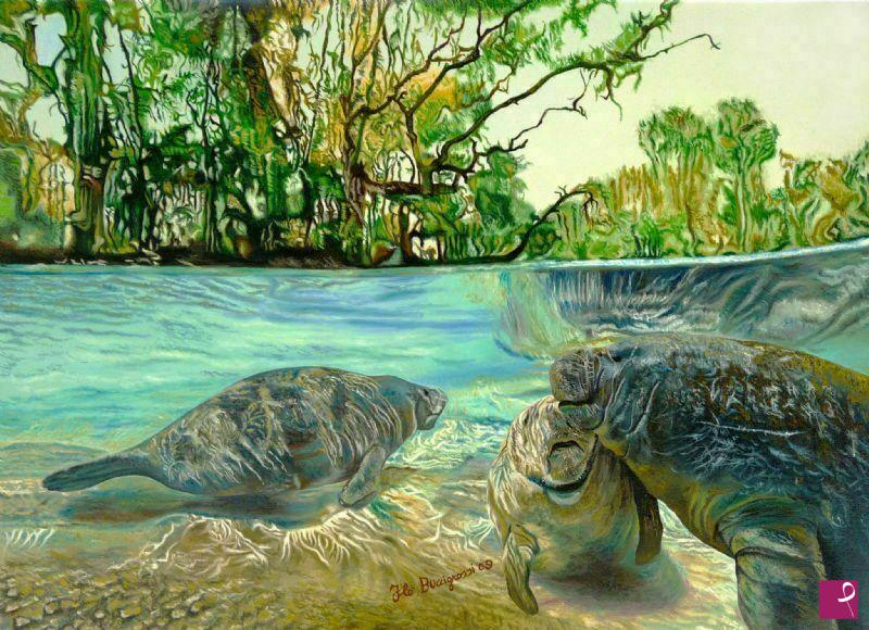 quadri in vendita online - i lamantini della Florida