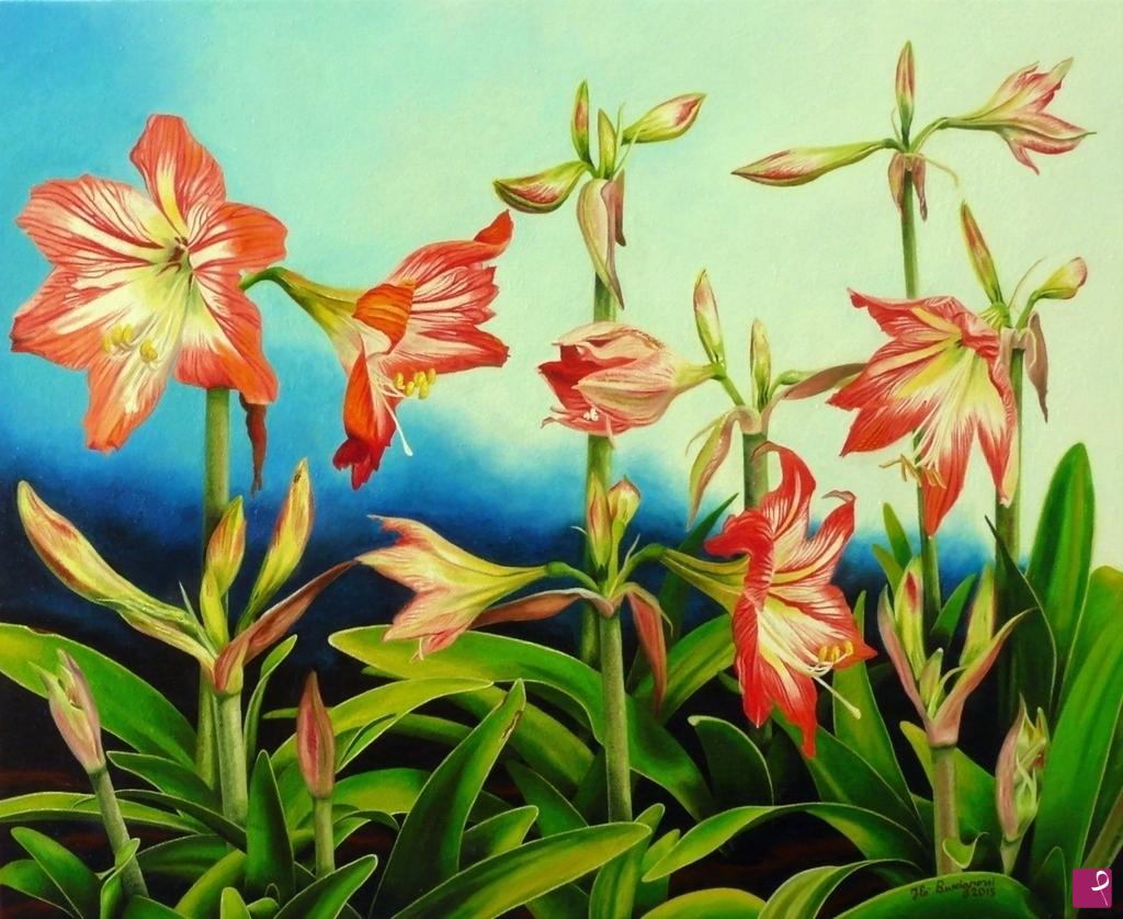 quadri in vendita online - i miei amaryllis