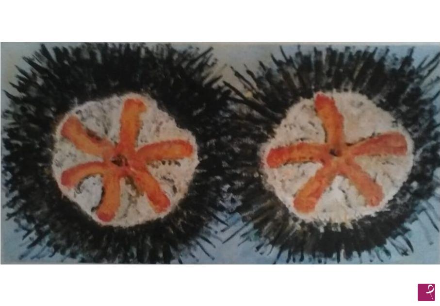 quadri in vendita online - i Ricci di mare