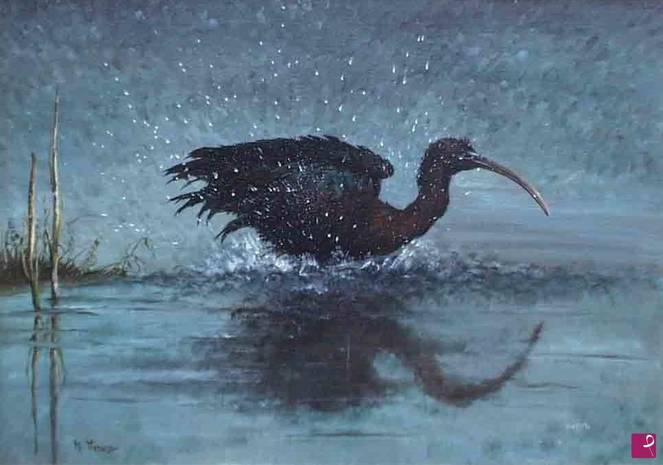 quadri in vendita online - Ibis