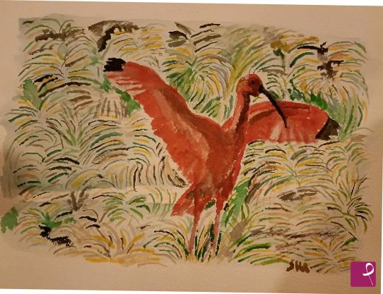 quadri in vendita online - Ibis rosso