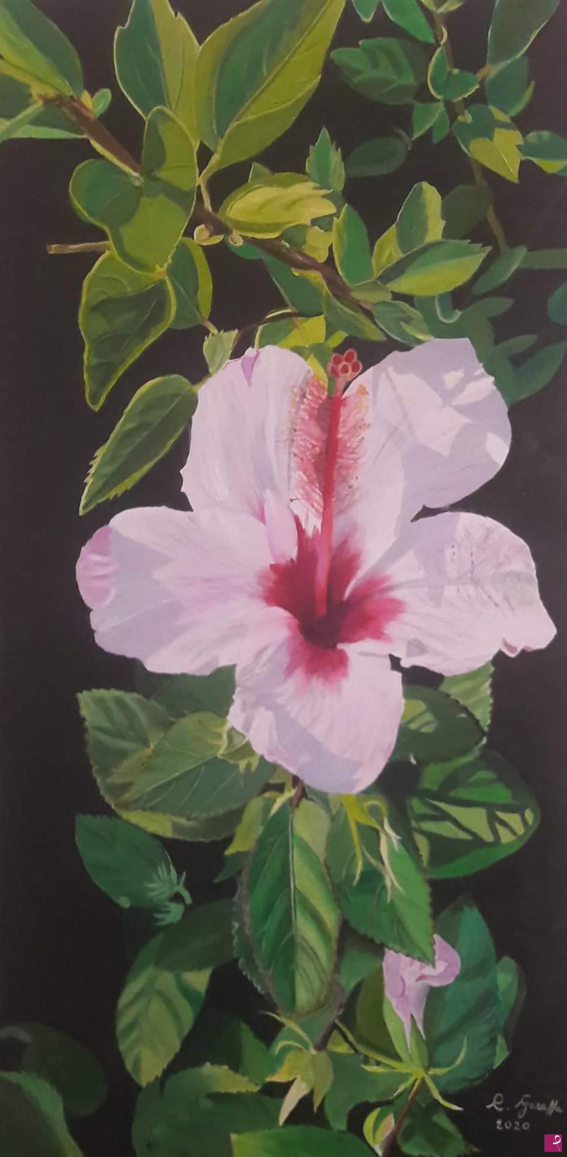 quadri in vendita online - Ibiscus rosa 