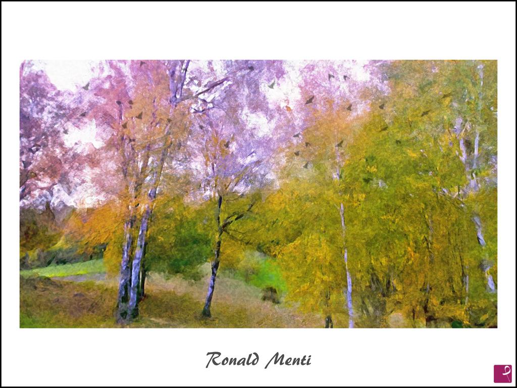 quadri in vendita online - Il bosco
