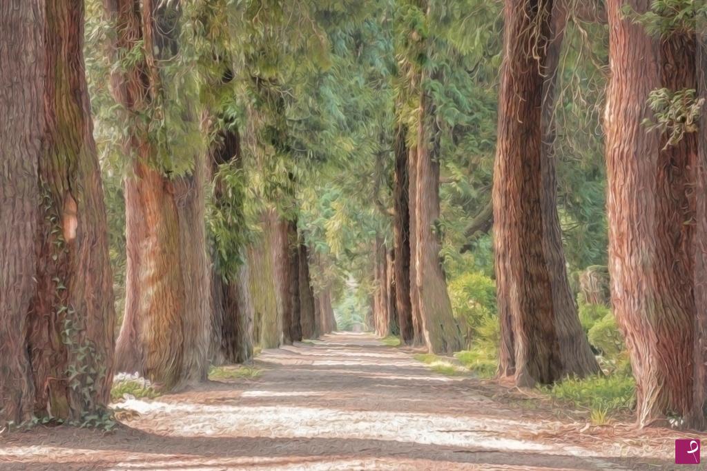 quadri in vendita online - Il bosco