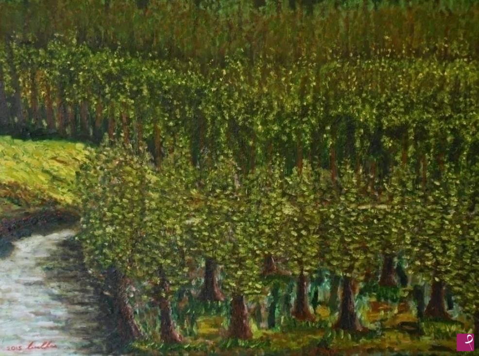 quadri in vendita online - Il bosco.  Seguo con lo sguardo la via che si inoltra nel fitto del bosco. Mi piace spaziare immaginando le mille deviazioni sul percorso, consapevole che esse rappresentano solo un dolce perdersi nei processi della vita. 