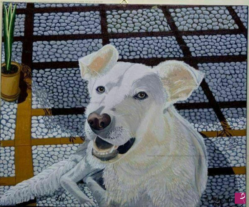 quadri in vendita online - Il cane Leo