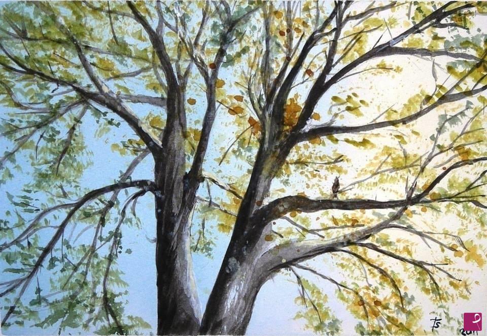 quadri in vendita online - il cielo sull'albero - Magalì