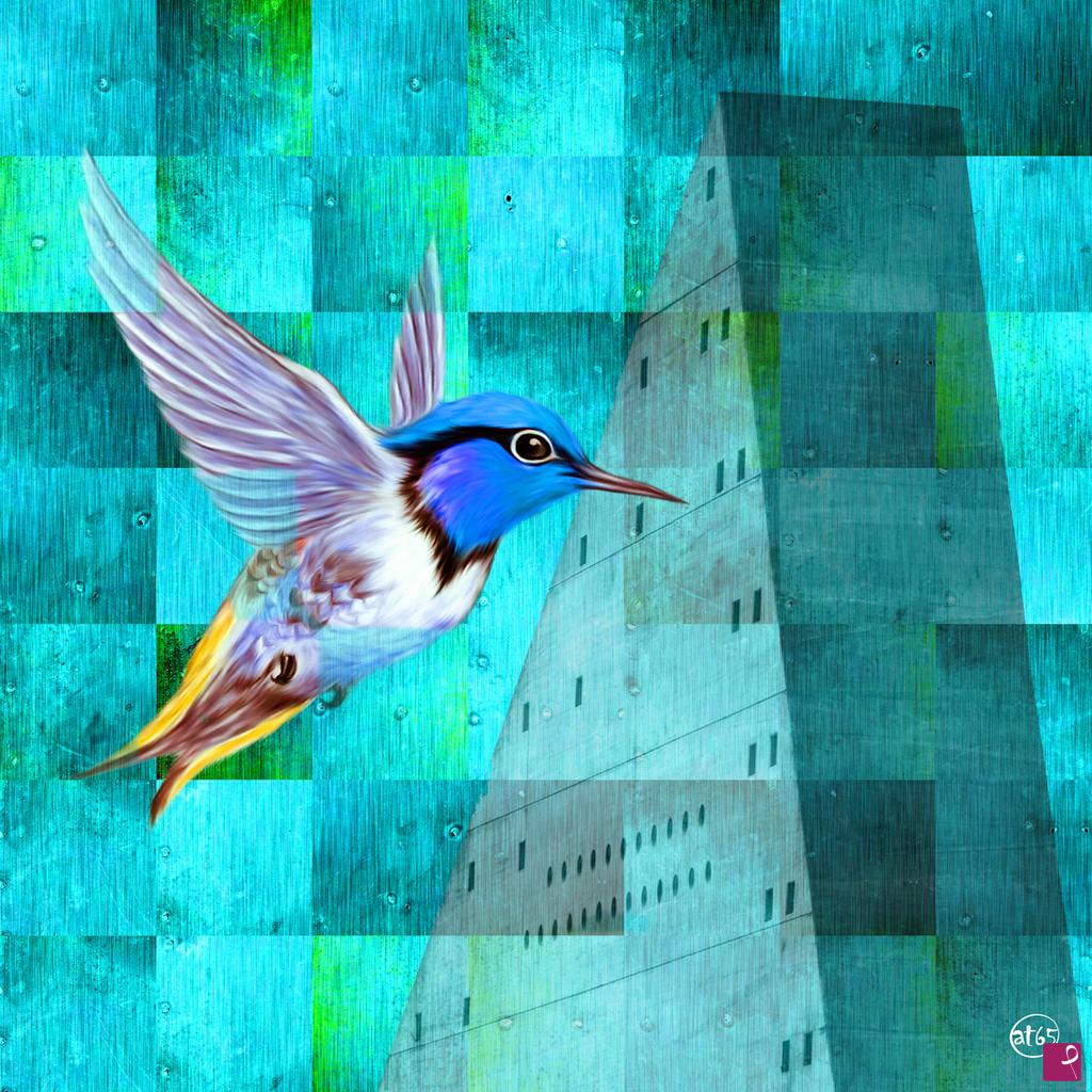 quadri in vendita online - Il colibrì