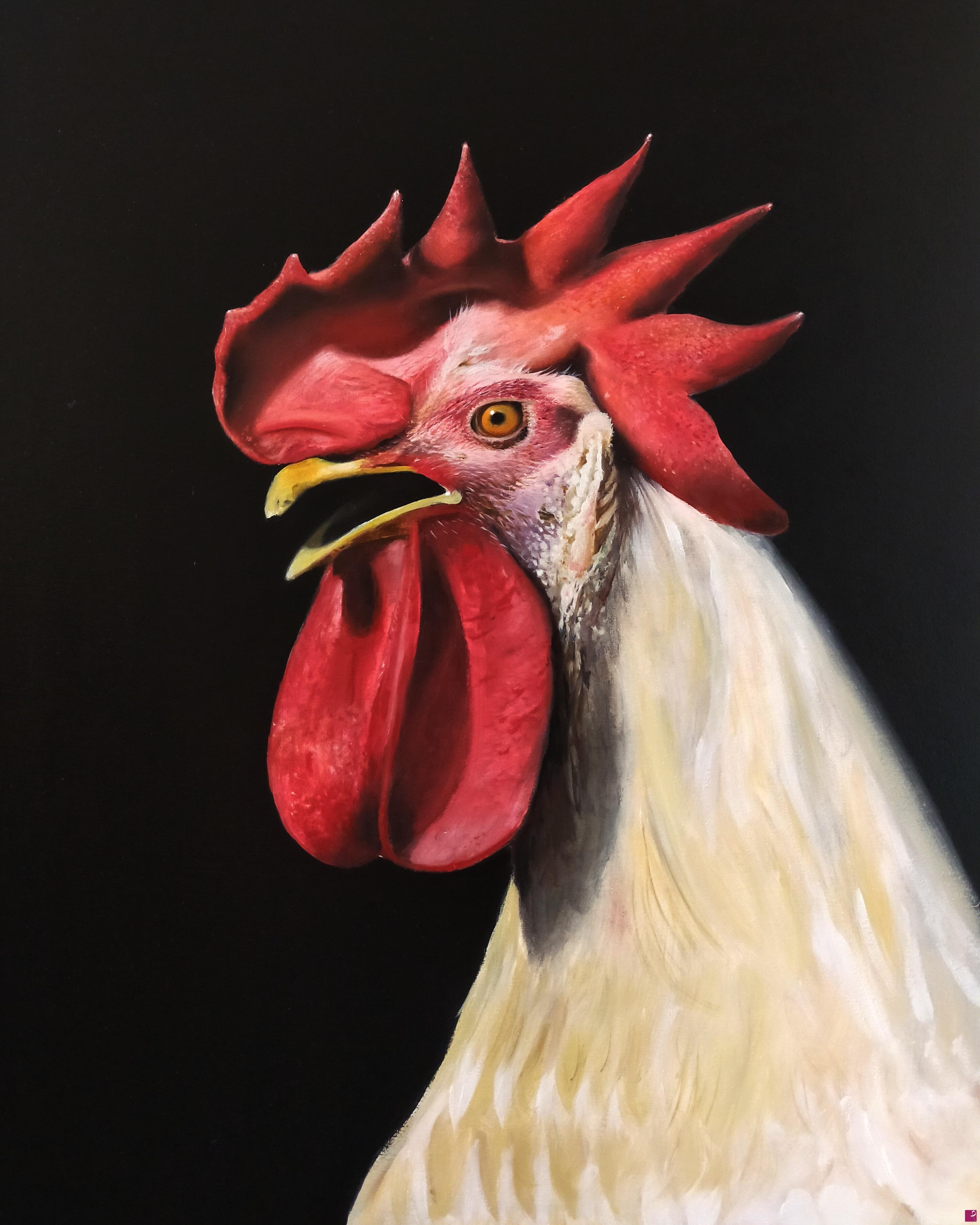 quadri in vendita online - Il gallo