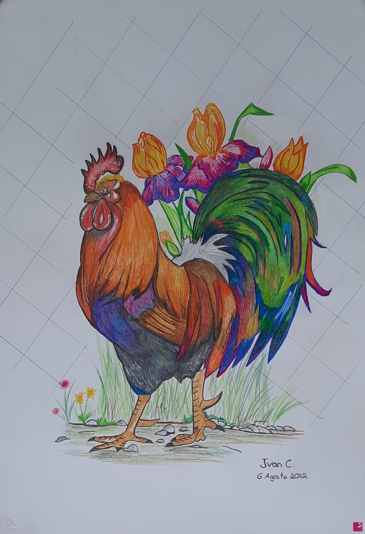 quadri in vendita online - Il Gallo
