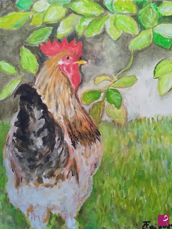 quadri in vendita online - Il gallo