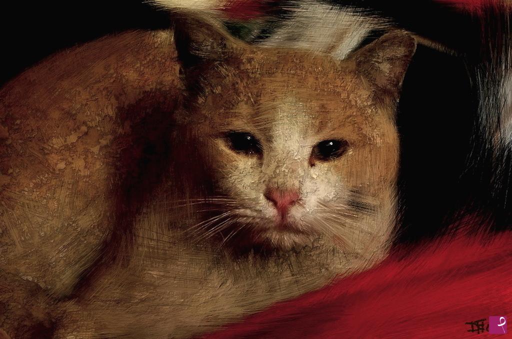 quadri in vendita online - Il gatto