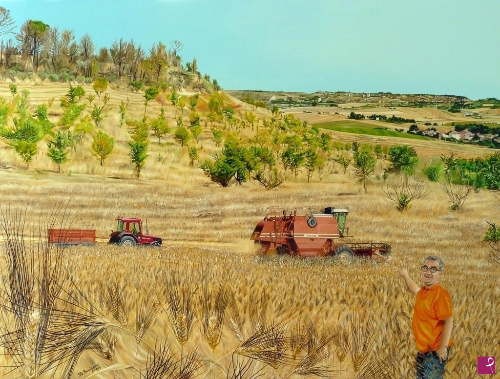 quadri in vendita online - il grano di Nicola