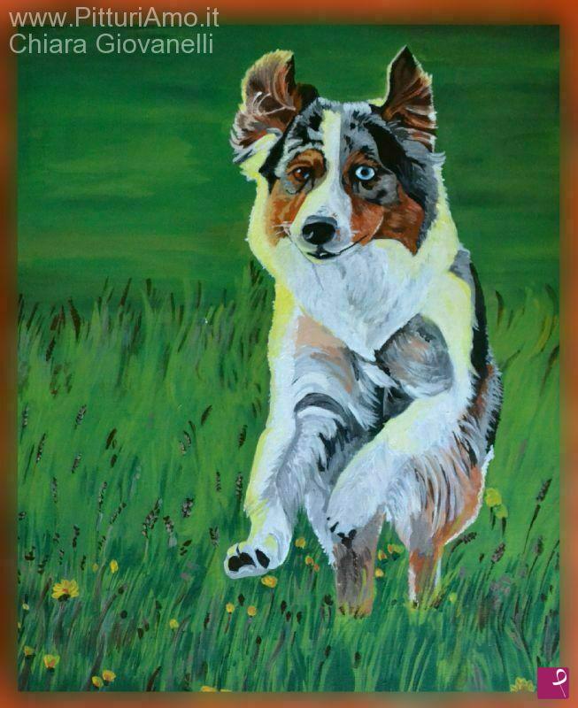quadri in vendita online - il mio australian shepherd