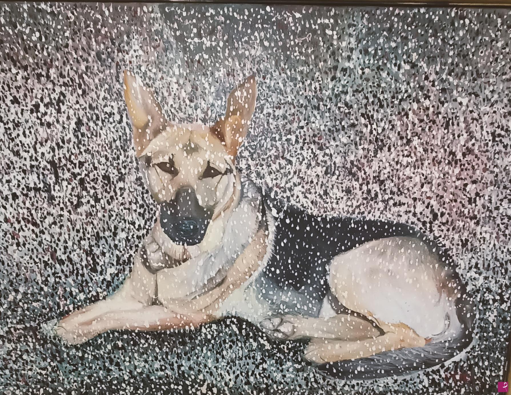 quadri in vendita online - Il mio cane