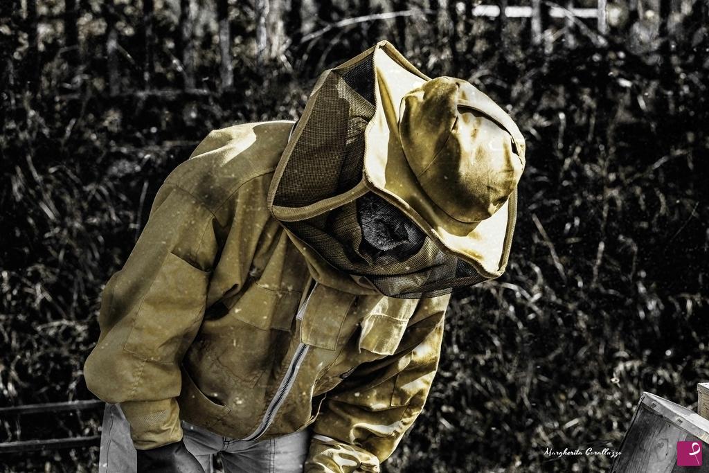 quadri in vendita online - "Il mondo si è dimenticato delle api selvatiche che sono quasi del tutto sparite. Ecco perchè le allevo. Le proteggo per farle sopravvivere"
