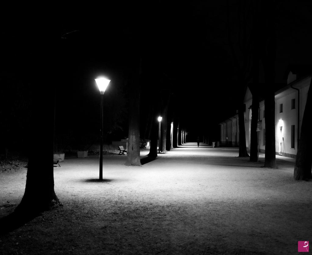 quadri in vendita online - il silenzio della luce