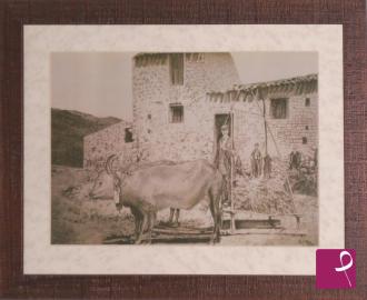 Quadro venduto su PitturiAmo
