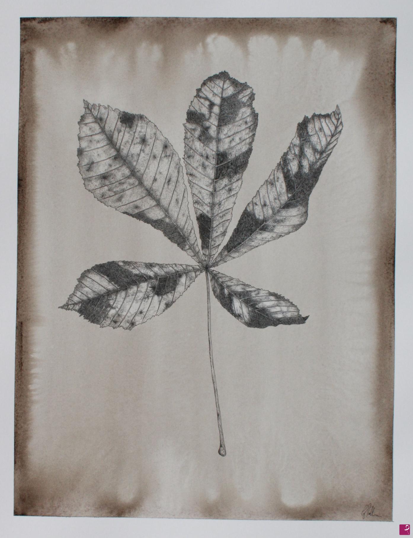 quadri in vendita online - Imperfection (Aesculus hippocastanum)