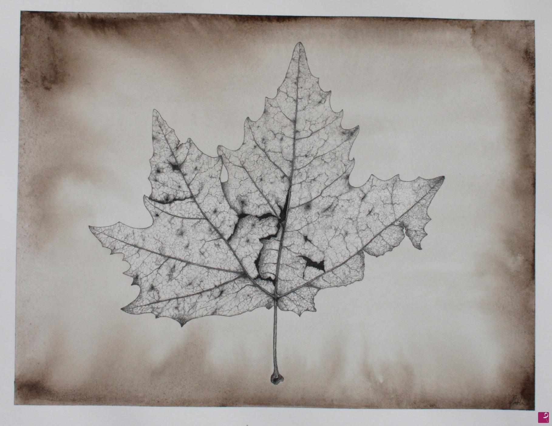 quadri in vendita online - Imperfection (Platanus acerifolia)