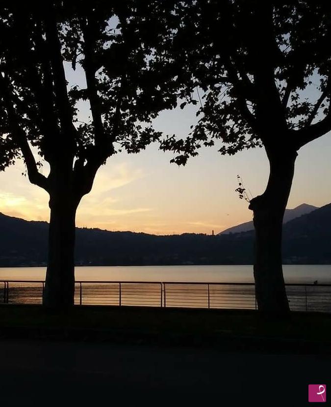 quadri in vendita online - In silenzio 
