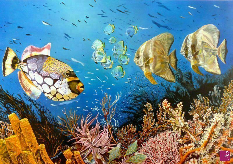 quadri in vendita online - Indo-Pacific coral reef